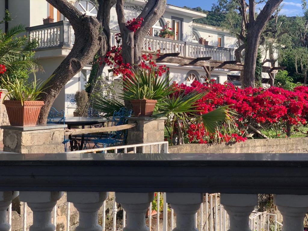 Villa Giovanna Σορέντο Εξωτερικό φωτογραφία