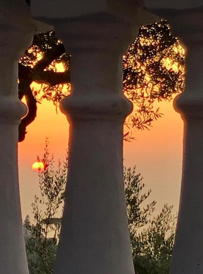 Villa Giovanna Σορέντο Εξωτερικό φωτογραφία